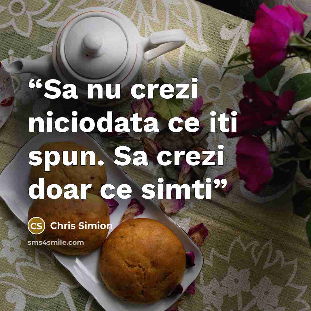 “Sa nu crezi niciodata ce iti spun. Sa crezi doar ce simti” quote by Chris Simion