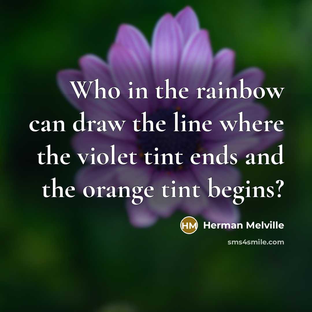 “Who in the rainbow can draw the line where the violet tint ends and the orange tint begins?” quote by Herman Melville