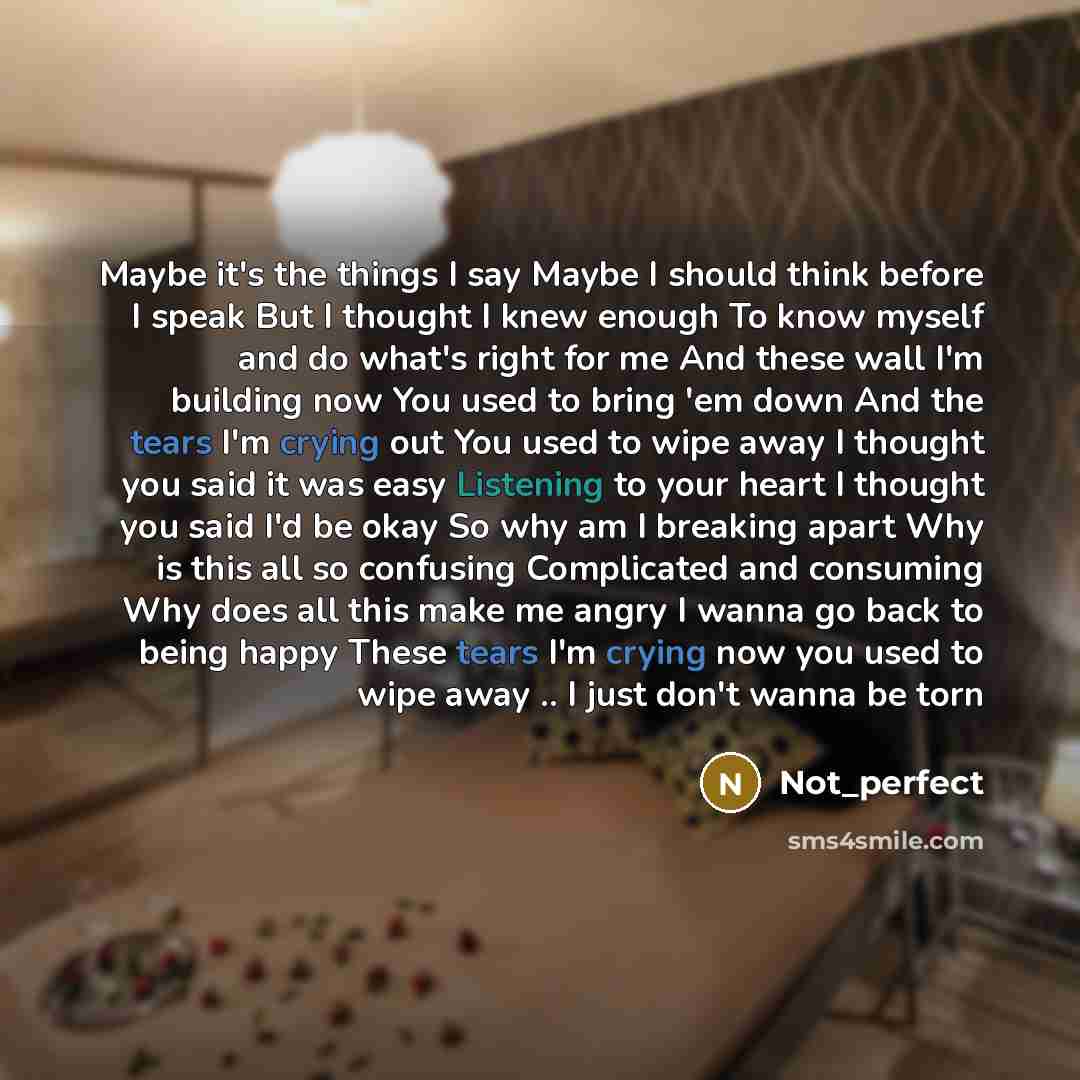 “Maybe it's the things I say Maybe I should think before I speak But I thought I knew enough To know myself and do what's right for me And these wall I'm building now You used to bring 'em down And the tears I'm crying out You used to wipe away I thought you said it was easy Listening to your heart…” quote by Not_perfect