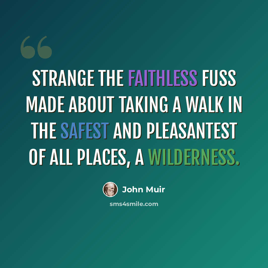 “Strange the faithless fuss made about taking a walk in the safest and pleasantest of all places, a wilderness.” quote by John Muir