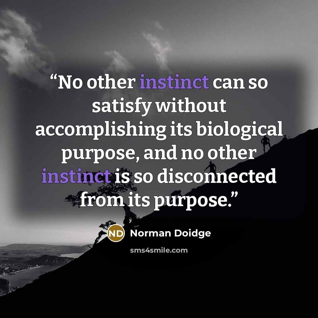 “No other instinct can so satisfy without accomplishing its biological purpose, and no other instinct is so disconnected from its purpose.” quote by Norman Doidge