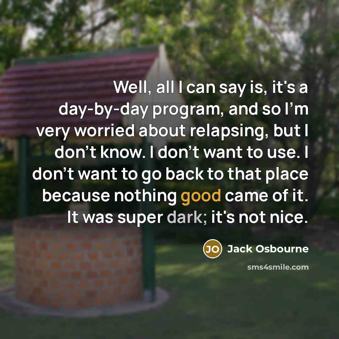 “Well, all I can say is, it's a day-by-day program, and so I'm very worried about relapsing, but I don't know. I don't want to use. I don't want to go back to that place because nothing good came of it. It was super dark; it's not nice.” quote by Jack Osbourne