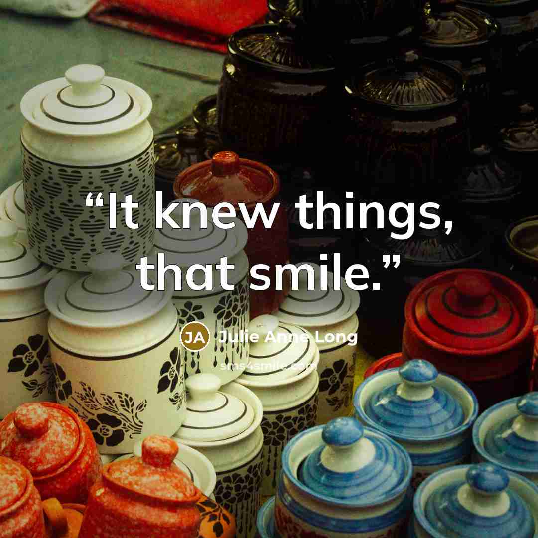 “It knew things, that smile.” quote by Julie Anne Long