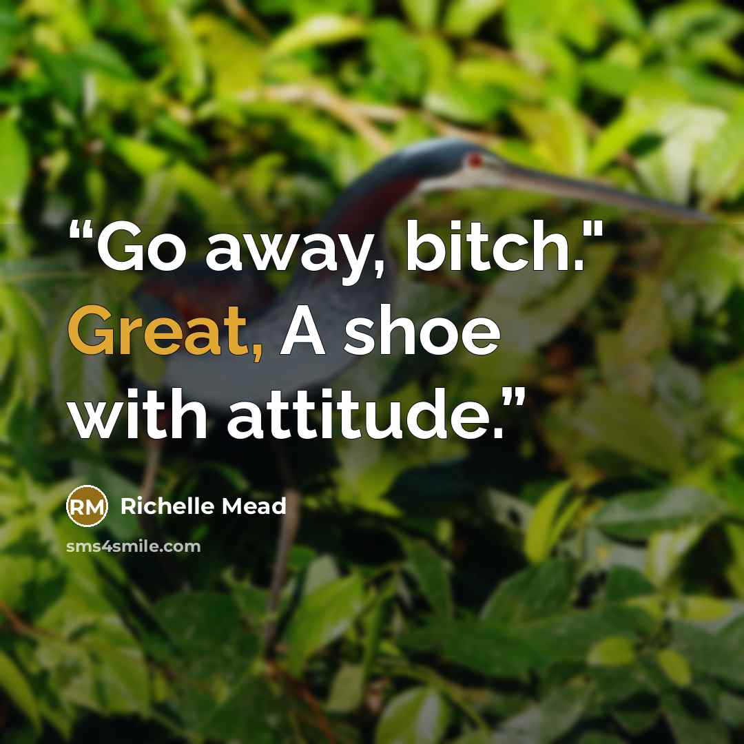 “Go away, bitch." Great, A shoe with attitude.” quote by Richelle Mead