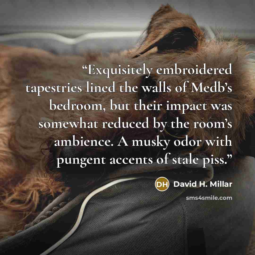 “Exquisitely embroidered tapestries lined the walls of Medb’s bedroom, but their impact was somewhat reduced by the room’s ambience. A musky odor with pungent accents of stale piss.” quote by David H. Millar
