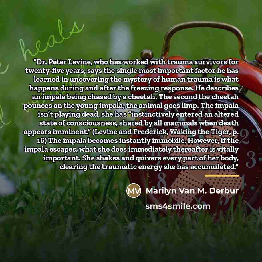 “Dr. Peter Levine, who has worked with trauma survivors for twenty-five years, says the single most important factor he has learned in uncovering the mystery of human trauma is what happens during and after the freezing response. He describes an impala being chased by a cheetah. The second the…” quote by Marilyn Van M. Derbur