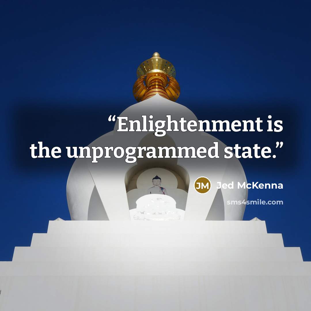 “Enlightenment is the unprogrammed state.” quote by Jed McKenna