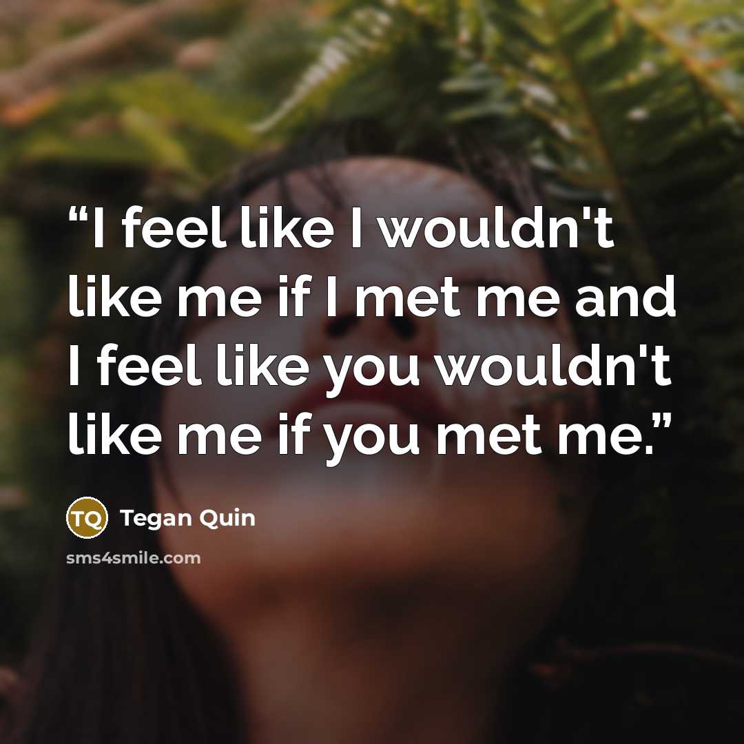 “I feel like I wouldn't like me if I met me and I feel like you wouldn't like me if you met me.” quote by Tegan Quin