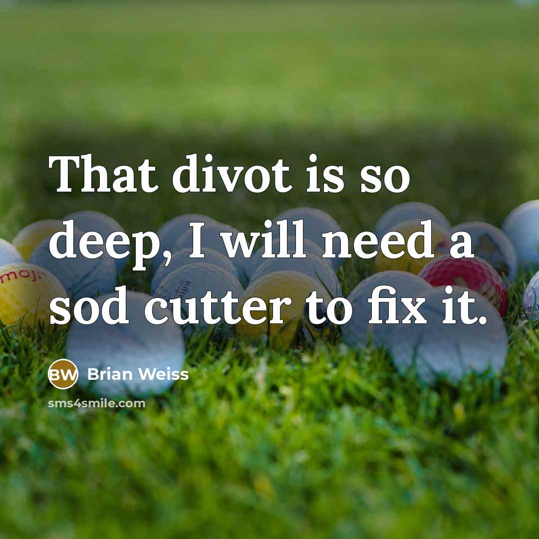 “That divot is so deep, I will need a sod cutter to fix it.” quote by Brian Weiss