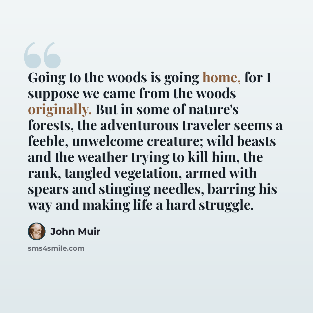 “Going to the woods is going home, for I suppose we came from the woods originally. But in some of nature's forests, the adventurous traveler seems a feeble, unwelcome creature; wild beasts and the weather trying to kill him, the rank, tangled vegetation, armed with spears and stinging needles…” quote by John Muir