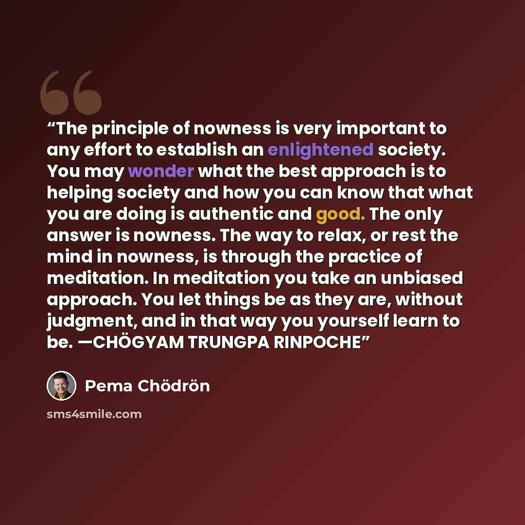 “The principle of nowness is very important to any effort to establish an enlightened society. You may wonder what the best approach is to helping society and how you can know that what you are doing is authentic and good. The only answer is nowness. The way to relax, or rest the mind in nowness…” quote by Pema Chödrön