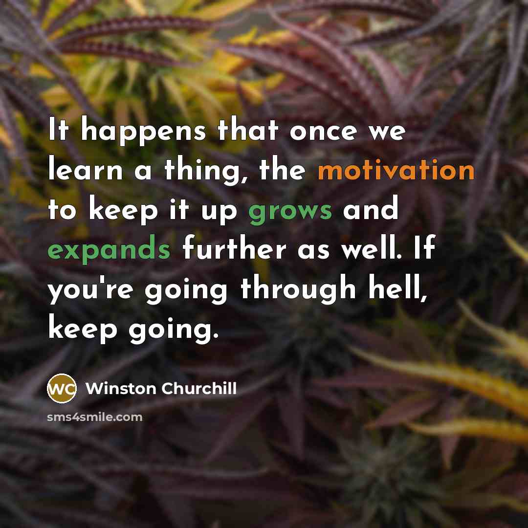 “It happens that once we learn a thing, the motivation to keep it up grows and expands further as well. If you're going through hell, keep going.” quote by Winston Churchill