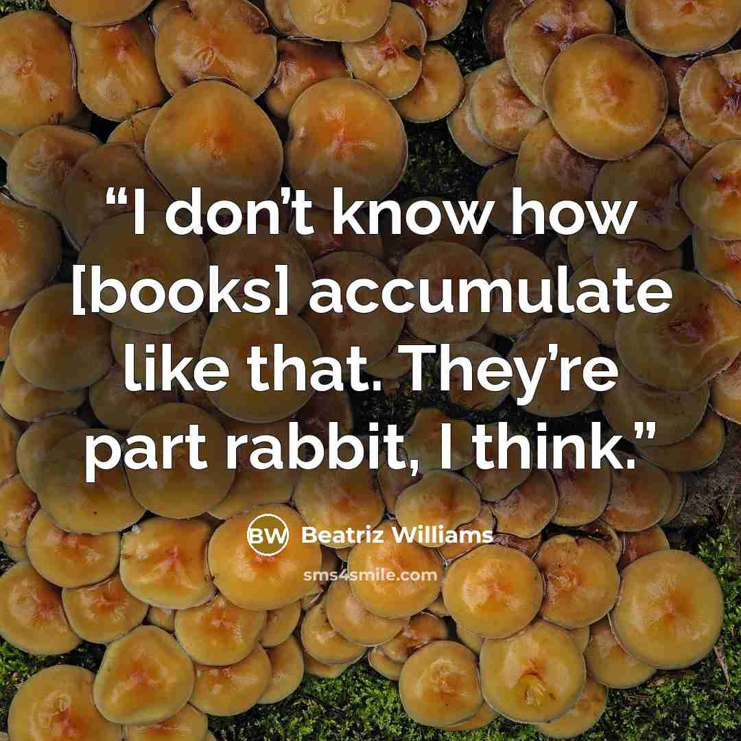 “I don’t know how [books] accumulate like that. They’re part rabbit, I think.” quote by Beatriz Williams