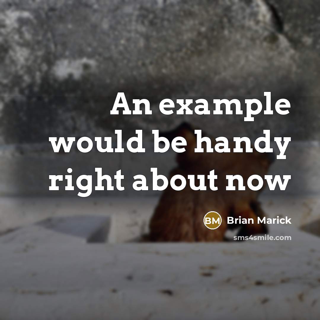 “An example would be handy right about now” quote by Brian Marick