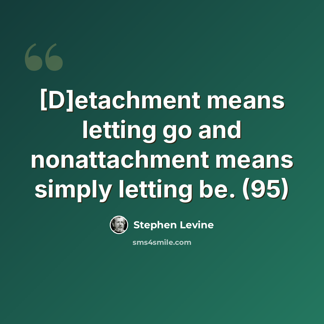 “[D]etachment means letting go and nonattachment means simply letting be. (95)” quote by Stephen Levine