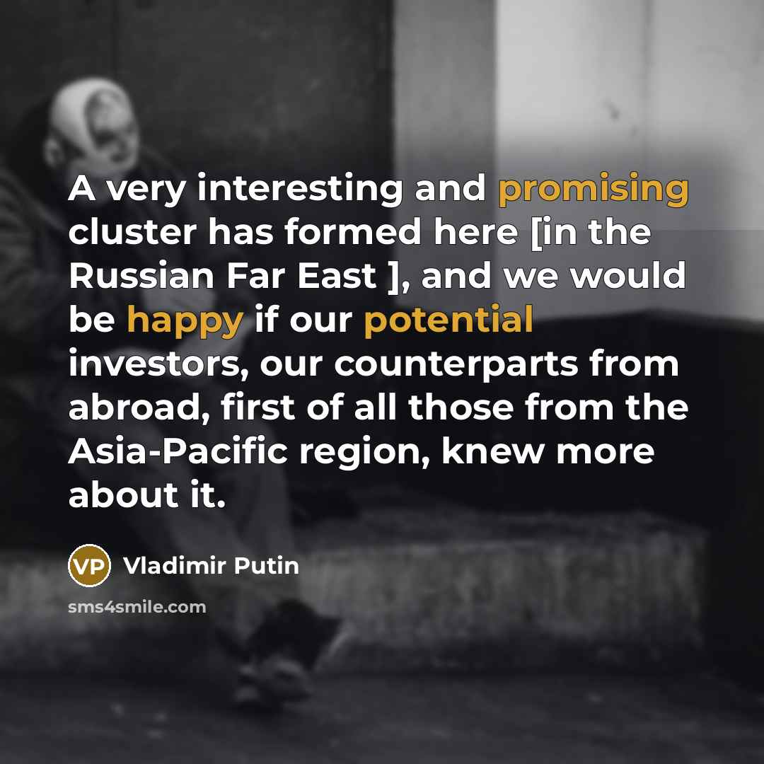 “A very interesting and promising cluster has formed here [in the Russian Far East ], and we would be happy if our potential investors, our counterparts from abroad, first of all those from the Asia-Pacific region, knew more about it.” quote by Vladimir Putin
