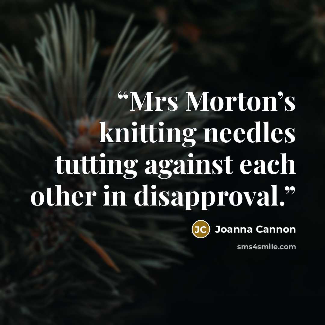 “Mrs Morton’s knitting needles tutting against each other in disapproval.” quote by Joanna Cannon