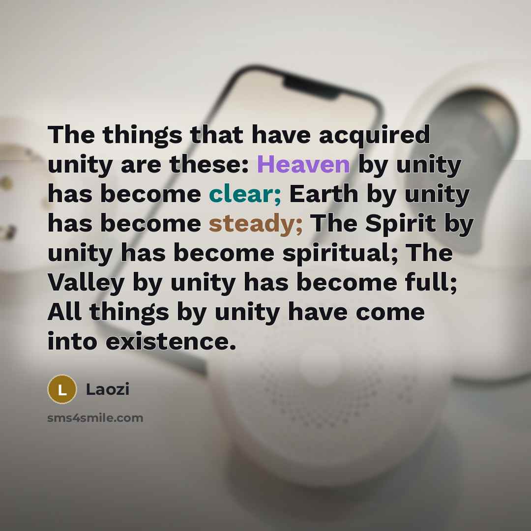 “The things that have acquired unity are these: Heaven by unity has become clear; Earth by unity has become steady; The Spirit by unity has become spiritual; The Valley by unity has become full; All things by unity have come into existence.” quote by Laozi