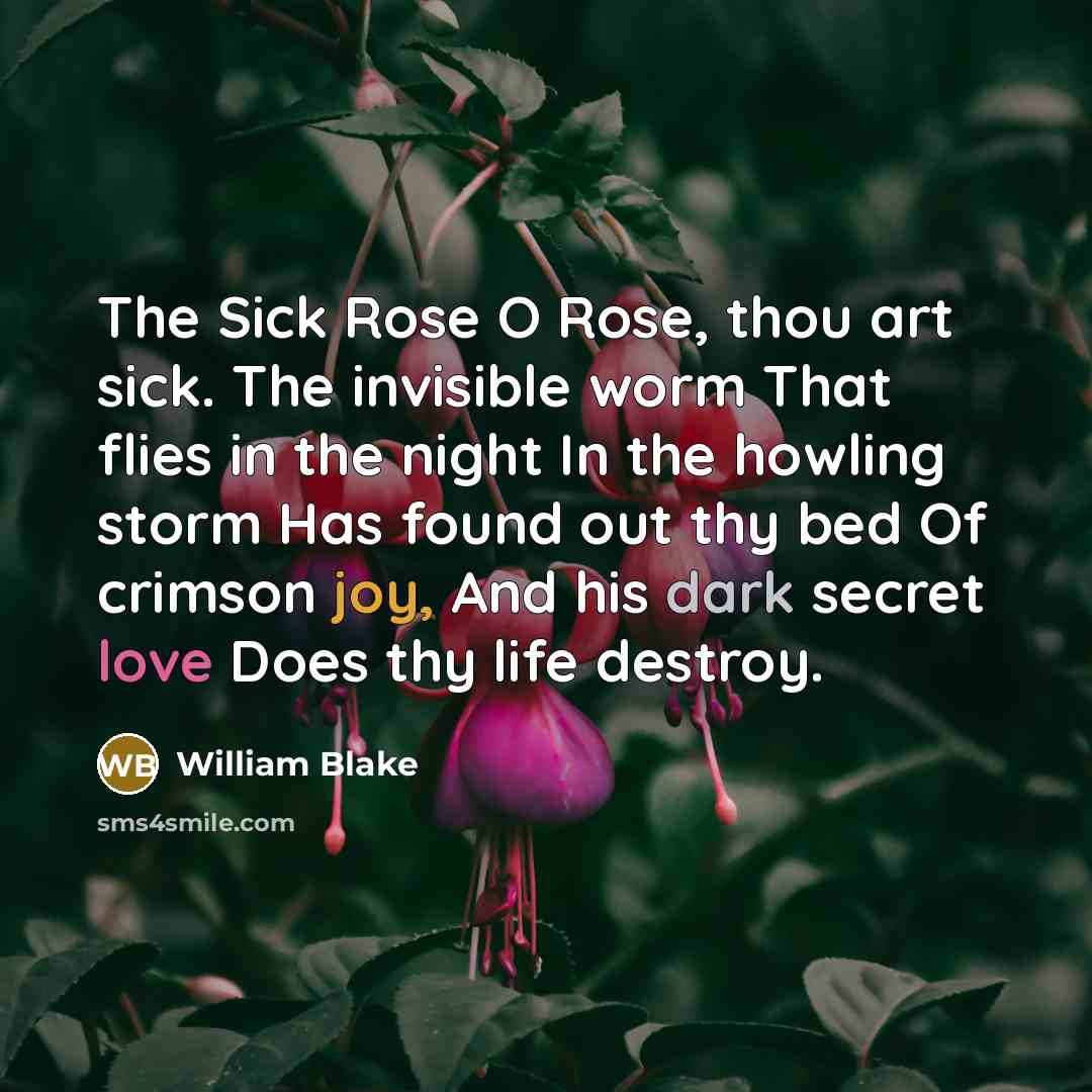 “The Sick Rose O Rose, thou art sick. The invisible worm That flies in the night In the howling storm Has found out thy bed Of crimson joy, And his dark secret love Does thy life destroy.” quote by William Blake