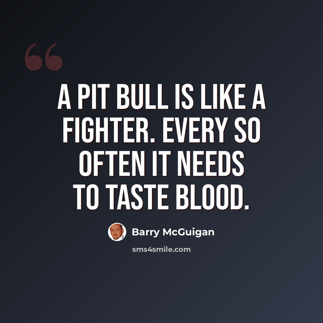 “A pit bull is like a fighter. Every so often it needs to taste blood.” quote by Barry McGuigan