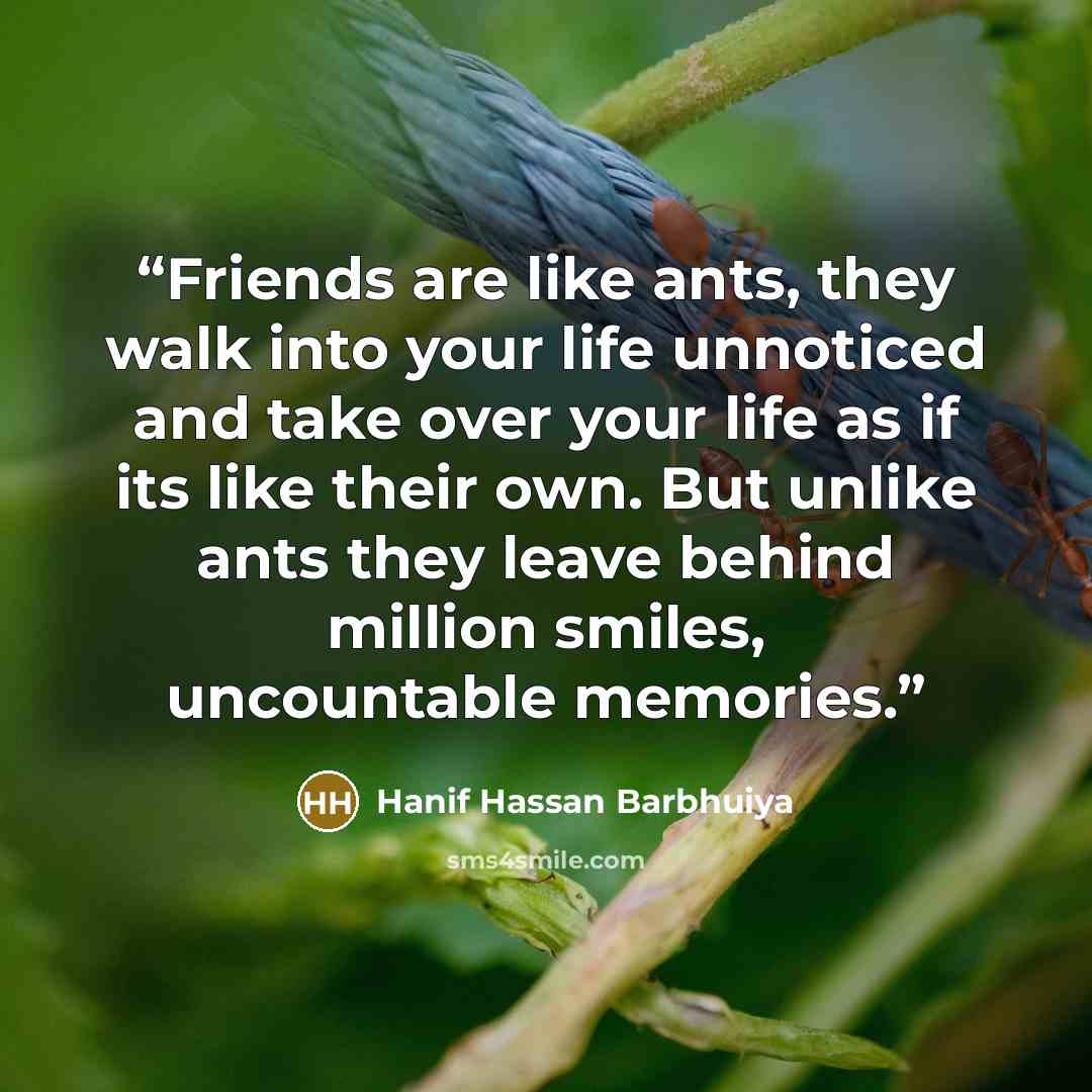 “Friends are like ants, they walk into your life unnoticed and take over your life as if its like their own. But unlike ants they leave behind million smiles, uncountable memories.” quote by Hanif Hassan Barbhuiya