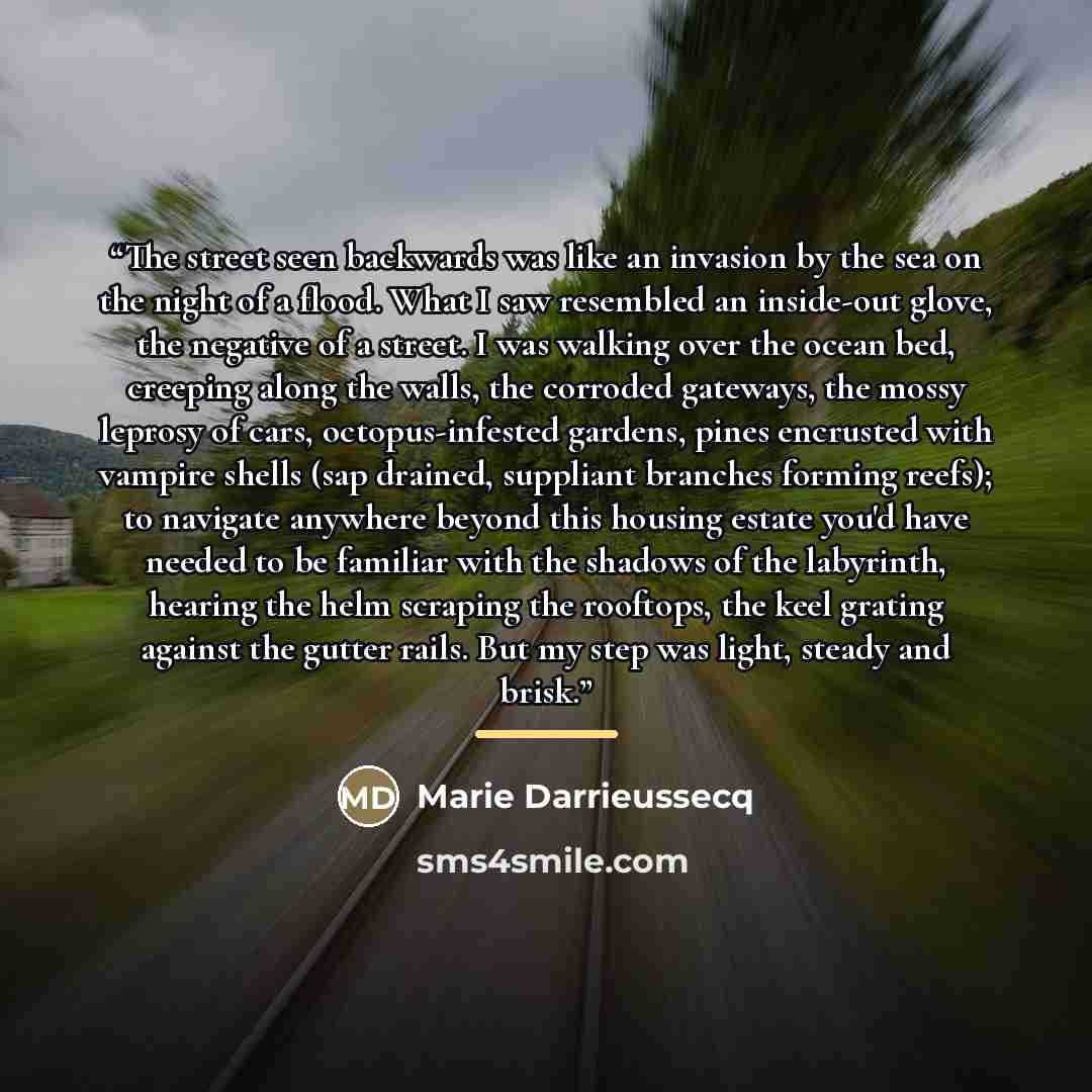“The street seen backwards was like an invasion by the sea on the night of a flood. What I saw resembled an inside-out glove, the negative of a street. I was walking over the ocean bed, creeping along the walls, the corroded gateways, the mossy leprosy of cars, octopus-infested gardens, pines…” quote by Marie Darrieussecq