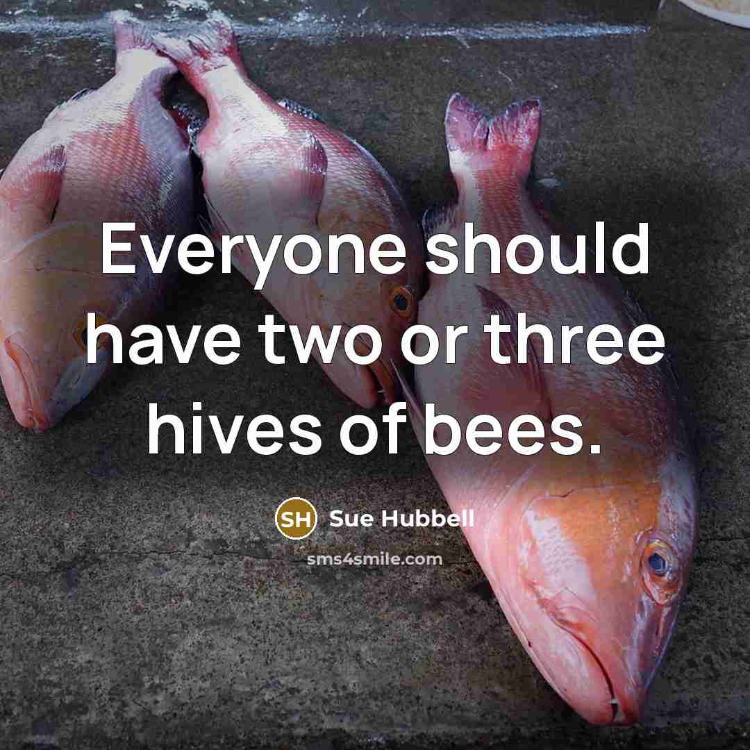 “Everyone should have two or three hives of bees.” quote by Sue Hubbell