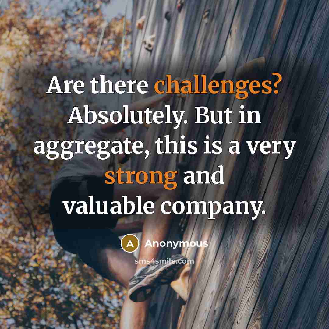 “Are there challenges? Absolutely. But in aggregate, this is a very strong and valuable company.” quote by Anonymous