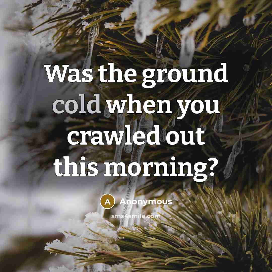 “Was the ground cold when you crawled out this morning?” quote by Anonymous