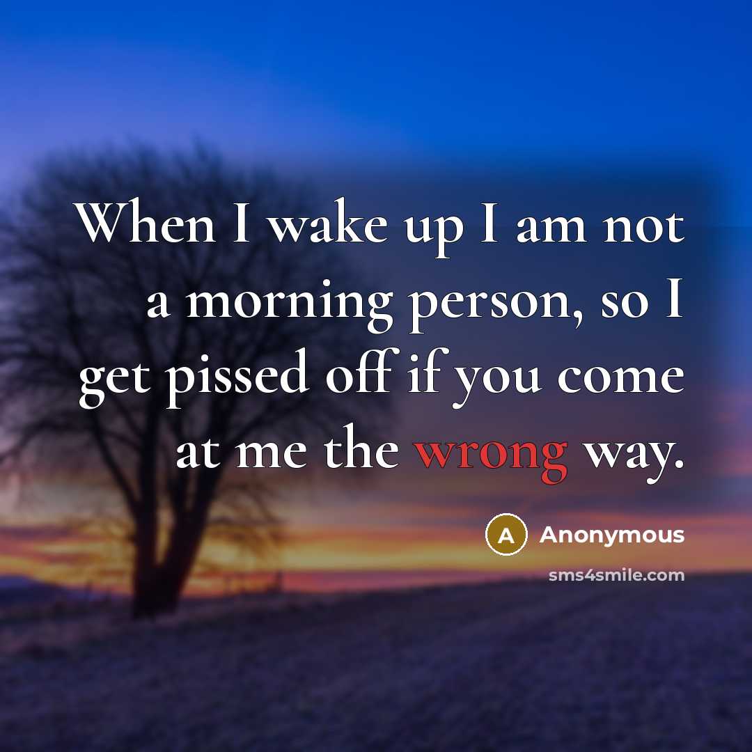 “When I wake up I am not a morning person, so I get pissed off if you come at me the wrong way.” quote by Anonymous