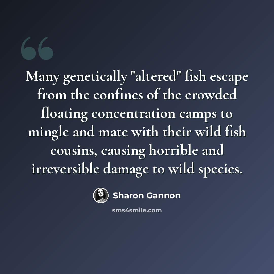 “Many genetically "altered" fish escape from the confines of the crowded floating concentration camps to mingle and mate with their wild fish cousins, causing horrible and irreversible damage to wild species.” quote by Sharon Gannon