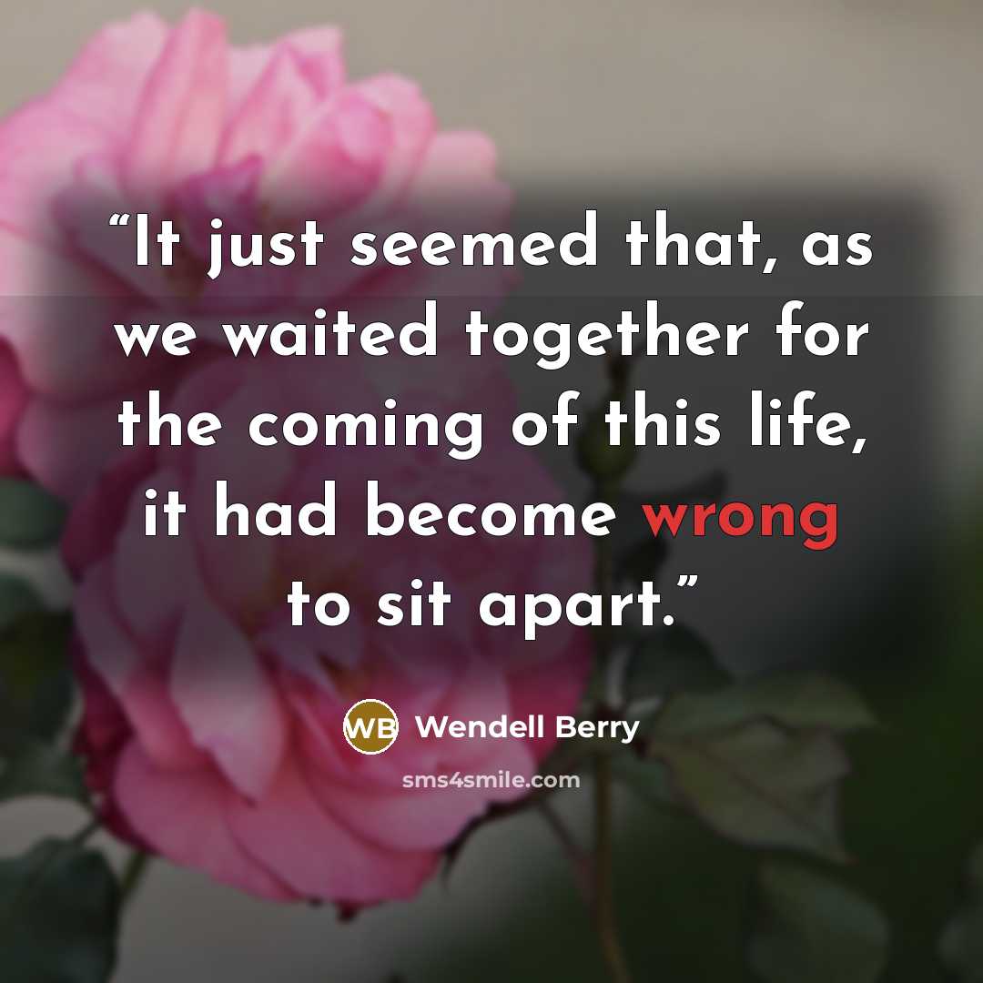 “It just seemed that, as we waited together for the coming of this life, it had become wrong to sit apart.” quote by Wendell Berry
