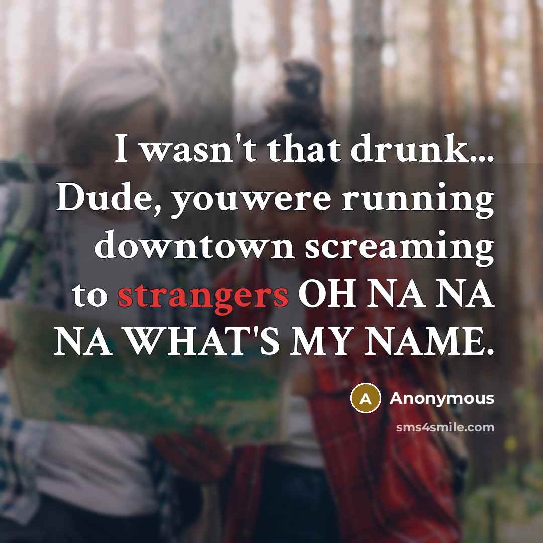 “I wasn't that drunk... Dude, youwere running downtown screaming to strangers OH NA NA NA WHAT'S MY NAME.” quote by Anonymous