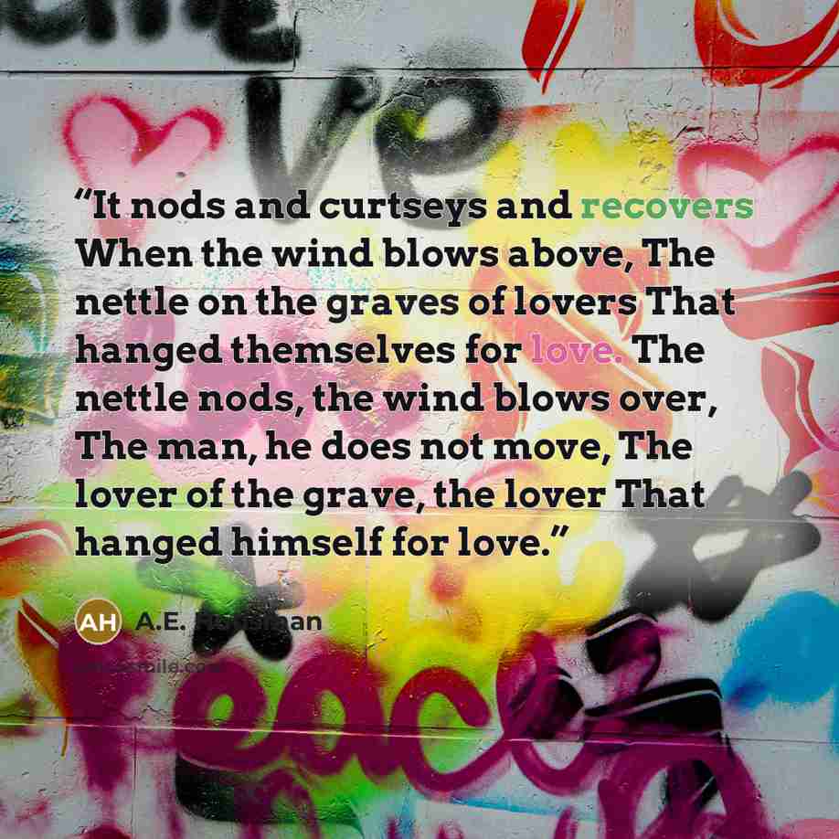 “It nods and curtseys and recovers When the wind blows above, The nettle on the graves of lovers That hanged themselves for love. The nettle nods, the wind blows over, The man, he does not move, The lover of the grave, the lover That hanged himself for love.” quote by A.E. Housman