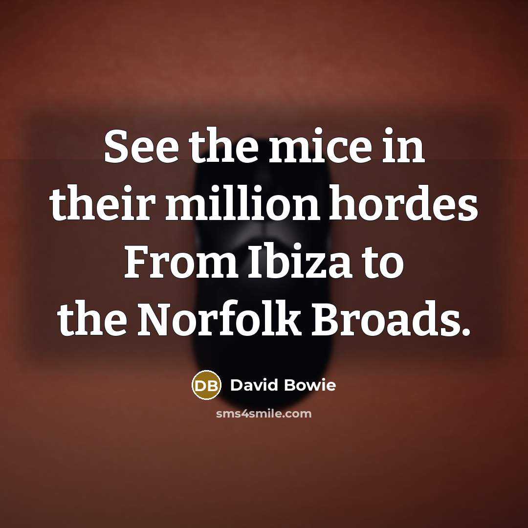 “See the mice in their million hordes From Ibiza to the Norfolk Broads.” quote by David Bowie