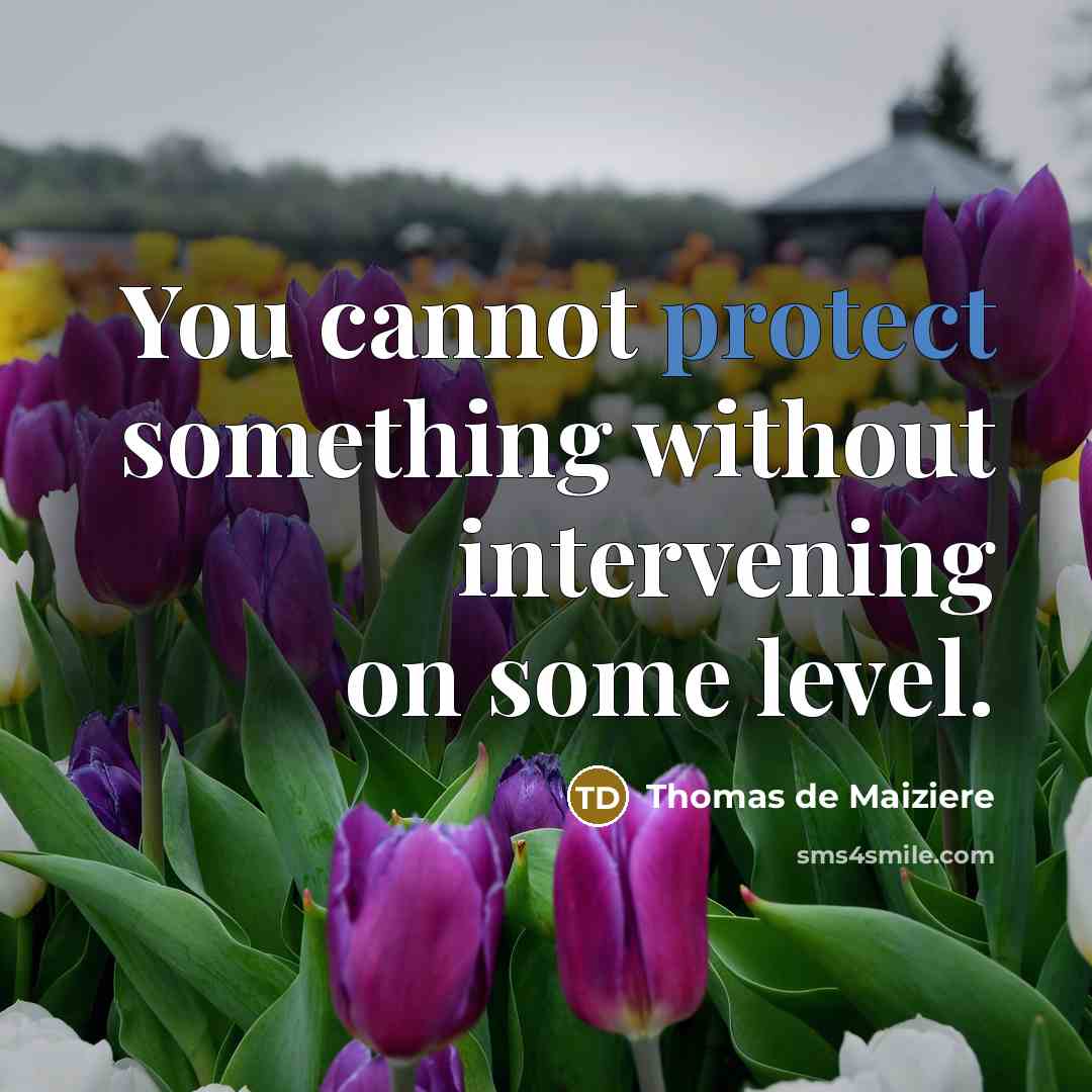“You cannot protect something without intervening on some level.” quote by Thomas de Maiziere