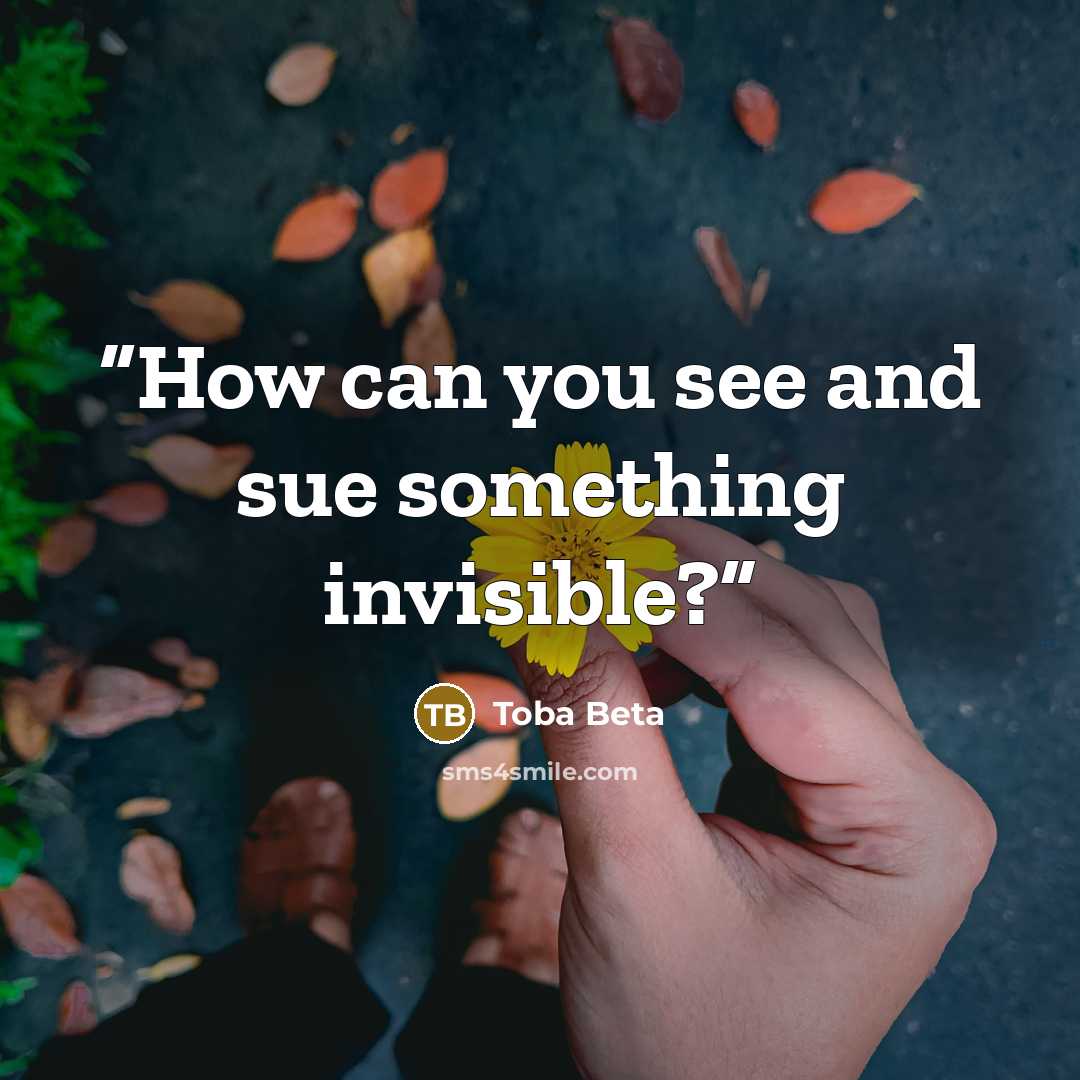 “How can you see and sue something invisible?” quote by Toba Beta