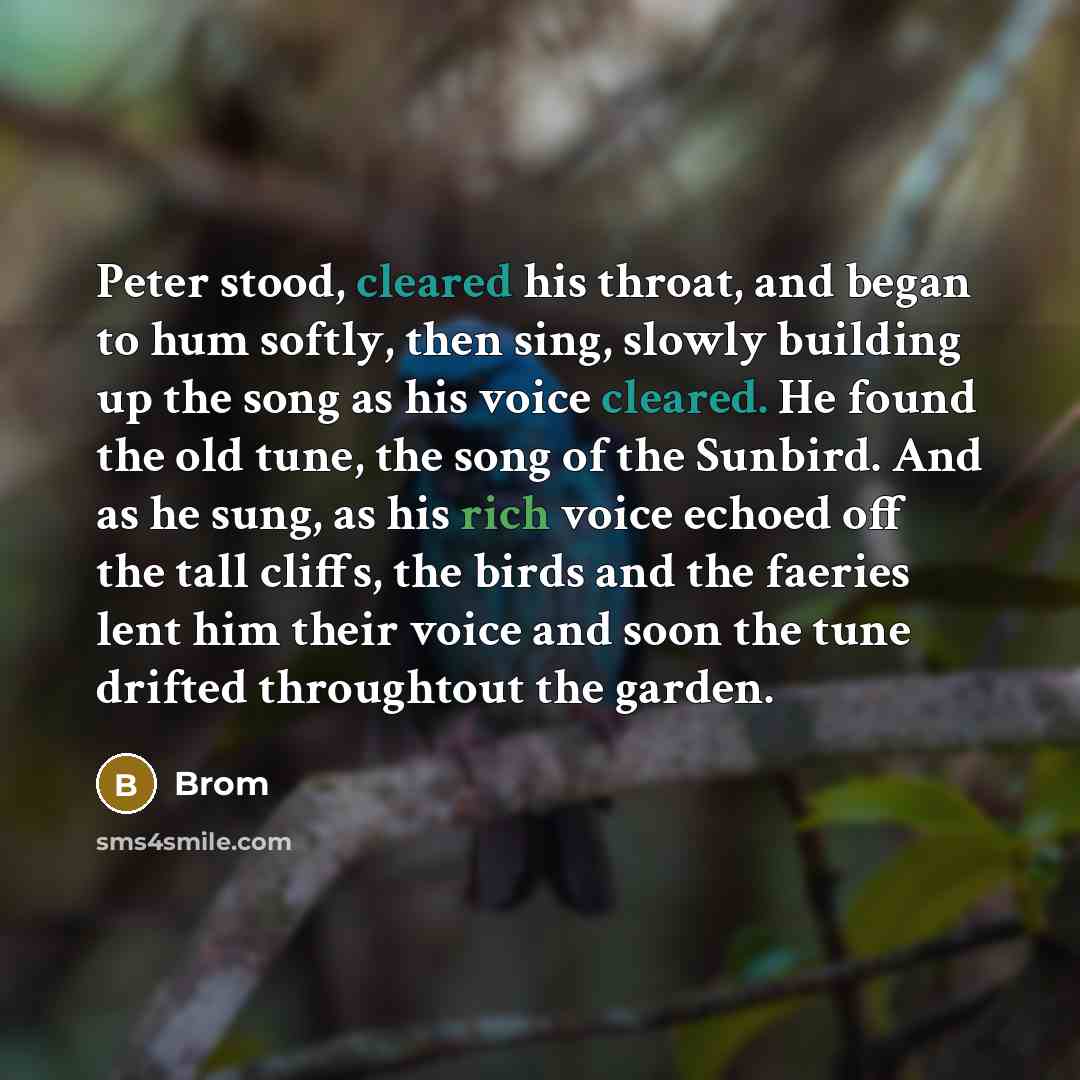 “Peter stood, cleared his throat, and began to hum softly, then sing, slowly building up the song as his voice cleared. He found the old tune, the song of the Sunbird. And as he sung, as his rich voice echoed off the tall cliffs, the birds and the faeries lent him their voice and soon the tune…” quote by Brom