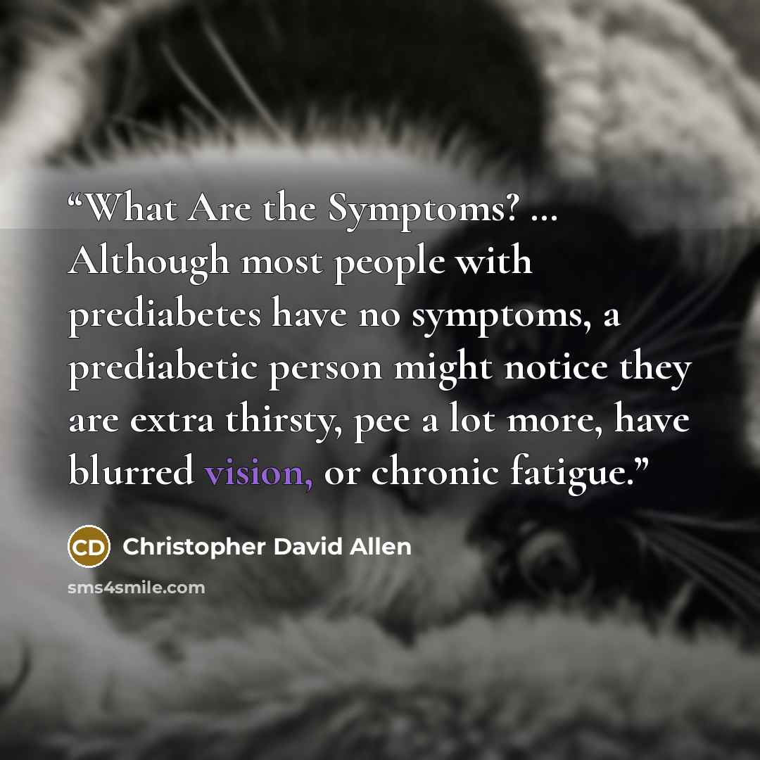 “What Are the Symptoms? … Although most people with prediabetes have no symptoms, a prediabetic person might notice they are extra thirsty, pee a lot more, have blurred vision, or chronic fatigue.” quote by Christopher David Allen