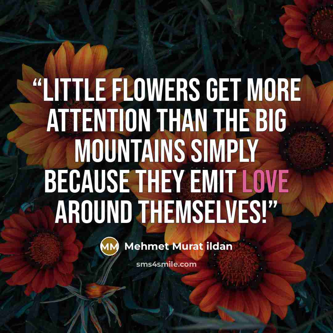 “Little flowers get more attention than the big mountains simply because they emit love around themselves!” quote by Mehmet Murat ildan