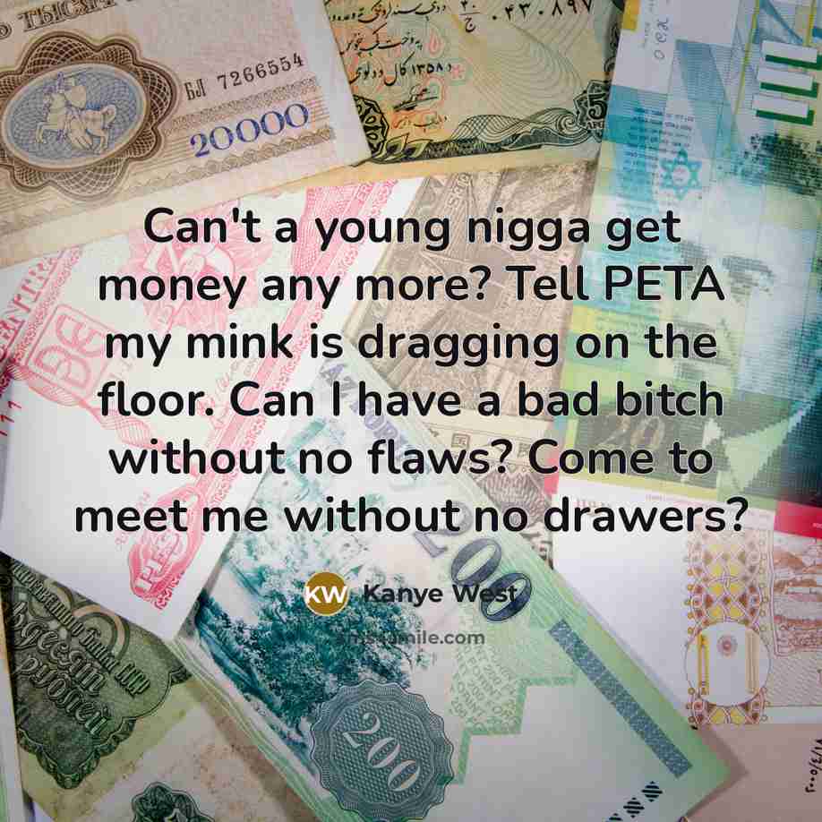 “Can't a young nigga get money any more? Tell PETA my mink is dragging on the floor. Can I have a bad bitch without no flaws? Come to meet me without no drawers?” quote by Kanye West