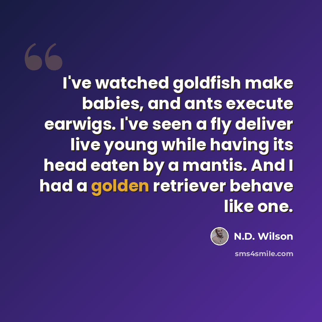 “I've watched goldfish make babies, and ants execute earwigs. I've seen a fly deliver live young while having its head eaten by a mantis. And I had a golden retriever behave like one.” quote by N.D. Wilson