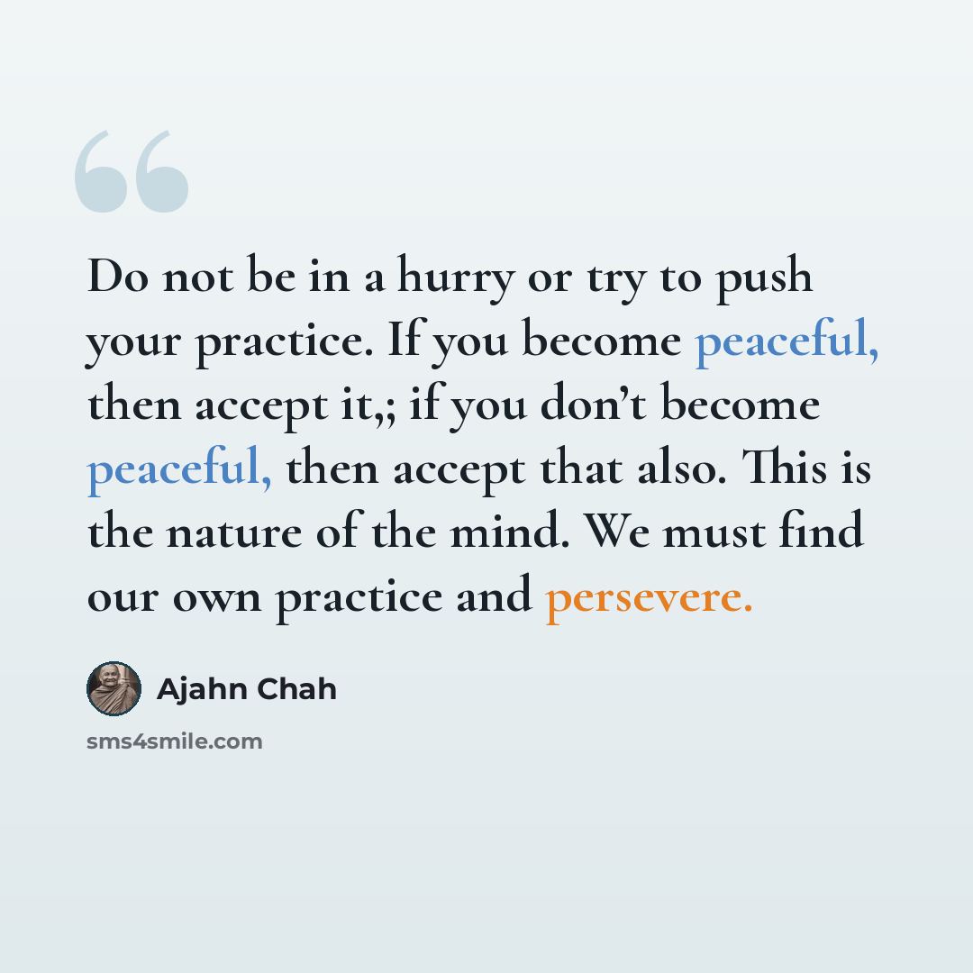 “Do not be in a hurry or try to push your practice. If you become peaceful, then accept it,; if you don’t become peaceful, then accept that also. This is the nature of the mind. We must find our own practice and persevere.” quote by Ajahn Chah