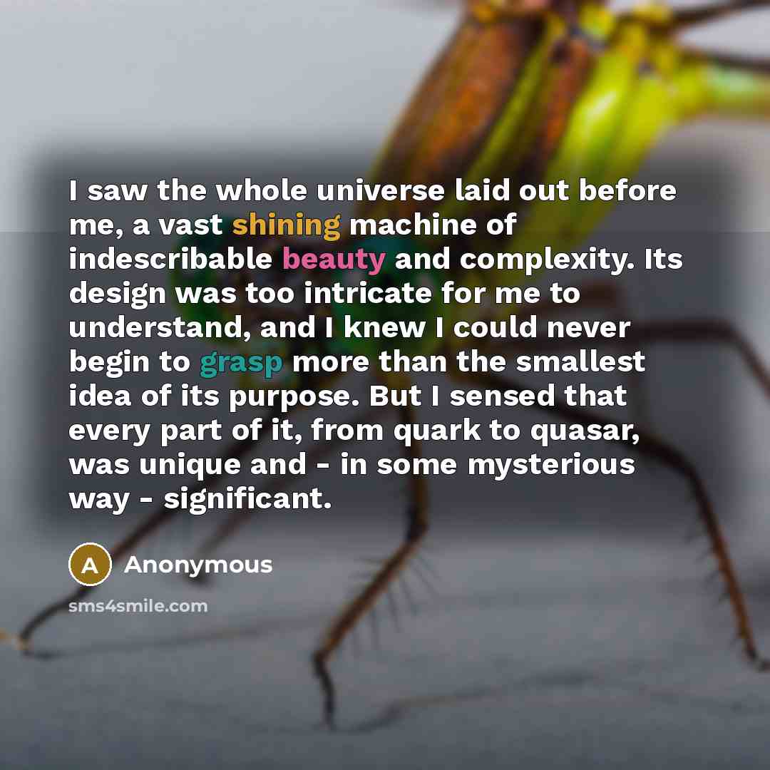 “I saw the whole universe laid out before me, a vast shining machine of indescribable beauty and complexity. Its design was too intricate for me to understand, and I knew I could never begin to grasp more than the smallest idea of its purpose. But I sensed that every part of it, from quark to…” quote by Anonymous