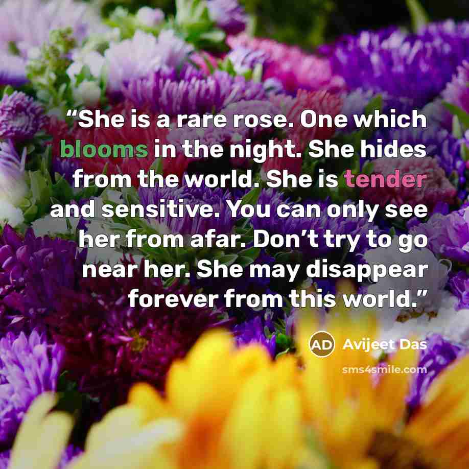 “She is a rare rose. One which blooms in the night. She hides from the world. She is tender and sensitive. You can only see her from afar. Don’t try to go near her. She may disappear forever from this world.” quote by Avijeet Das