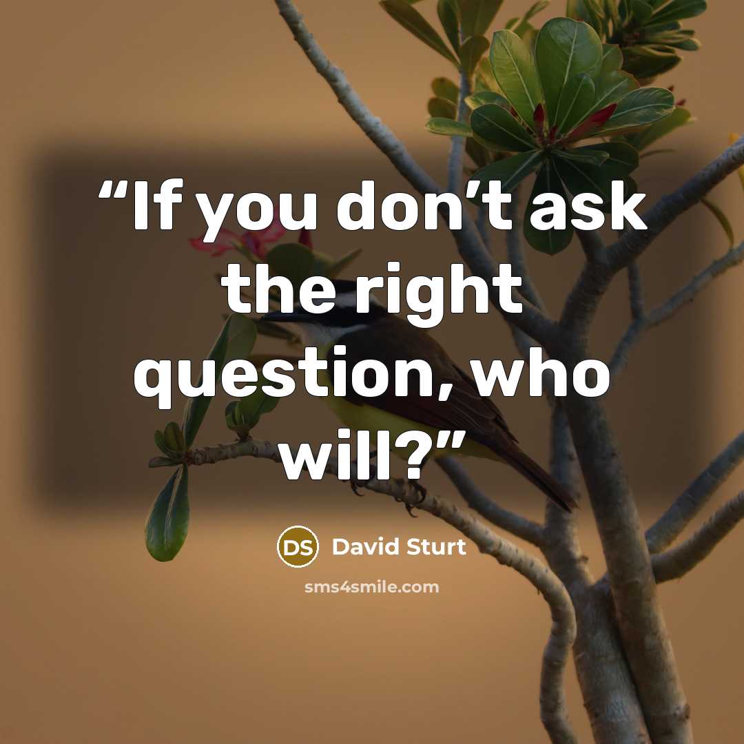 “If you don’t ask the right question, who will?” quote by David Sturt