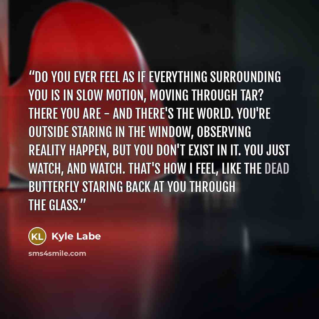 “Do you ever feel as if everything surrounding you is in slow motion, moving through tar? There you are - and there's the world. You're outside staring in the window, observing reality happen, but you don't exist in it. You just watch, and watch. That's how I feel, like the dead butterfly staring…” quote by Kyle Labe