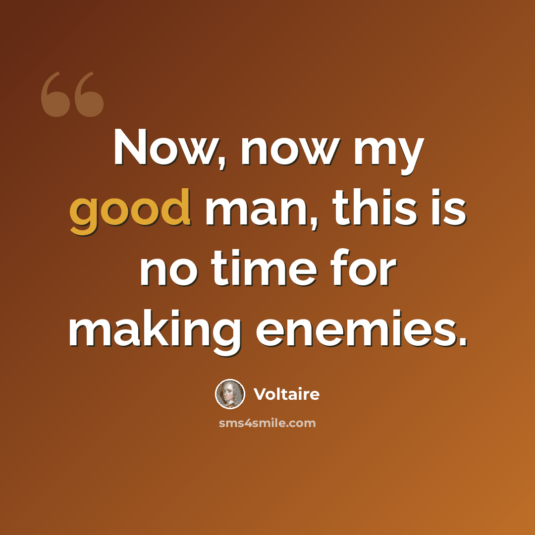 “Now, now my good man, this is no time for making enemies.” quote by Voltaire
