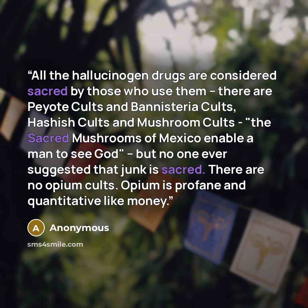 “All the hallucinogen drugs are considered sacred by those who use them -- there are Peyote Cults and Bannisteria Cults, Hashish Cults and Mushroom Cults - "the Sacred Mushrooms of Mexico enable a man to see God" -- but no one ever suggested that junk is sacred. There are no opium cults. Opium is…” quote by Anonymous