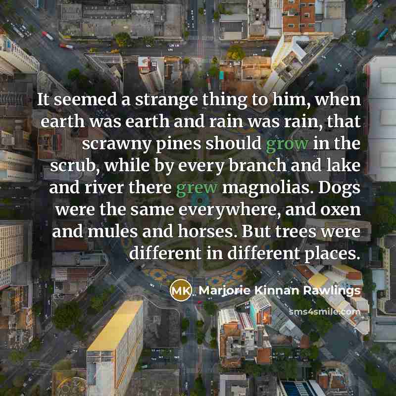 “It seemed a strange thing to him, when earth was earth and rain was rain, that scrawny pines should grow in the scrub, while by every branch and lake and river there grew magnolias. Dogs were the same everywhere, and oxen and mules and horses. But trees were different in different places.” quote by Marjorie Kinnan Rawlings